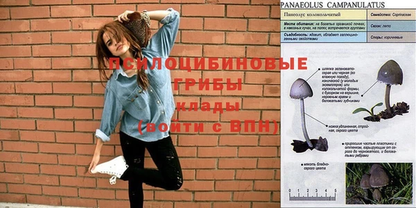 спиды Баксан
