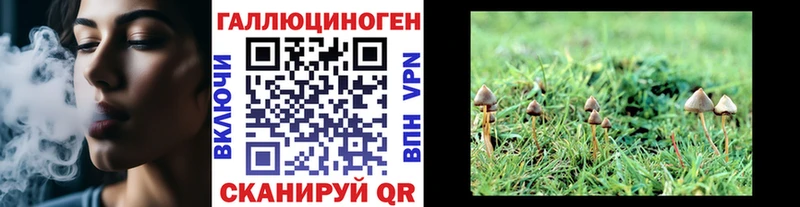 omg ссылки  Полысаево  Галлюциногенные грибы мухоморы 